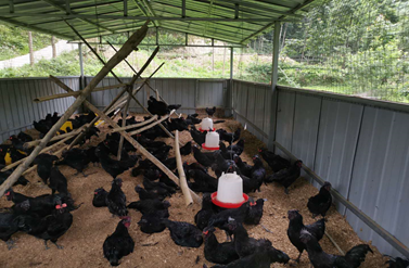 先有鸡还是先有蛋?浪潮质量码给出另一条解题思路