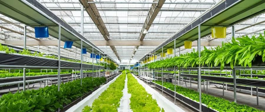 地方两会聚焦“农业优先”，浪潮质量码助力农业数字化