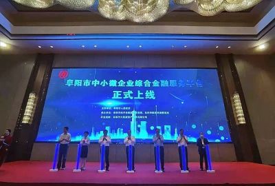 阜阳市中小微企业综合金融服务平台实力入选安徽省“城市大脑”应用试点
