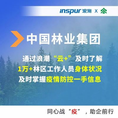 6.webp